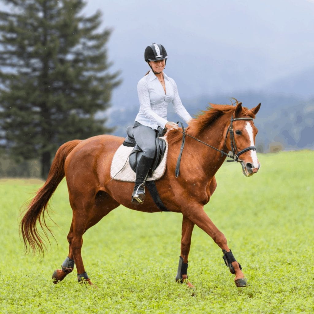 temi riding horse