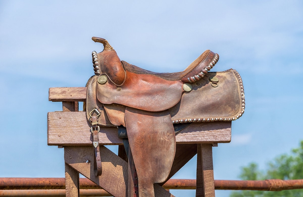 The Parts Of A Saddle Best Horse Rider