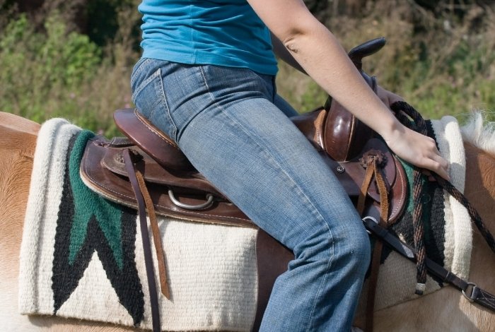 best jeans for riding horses