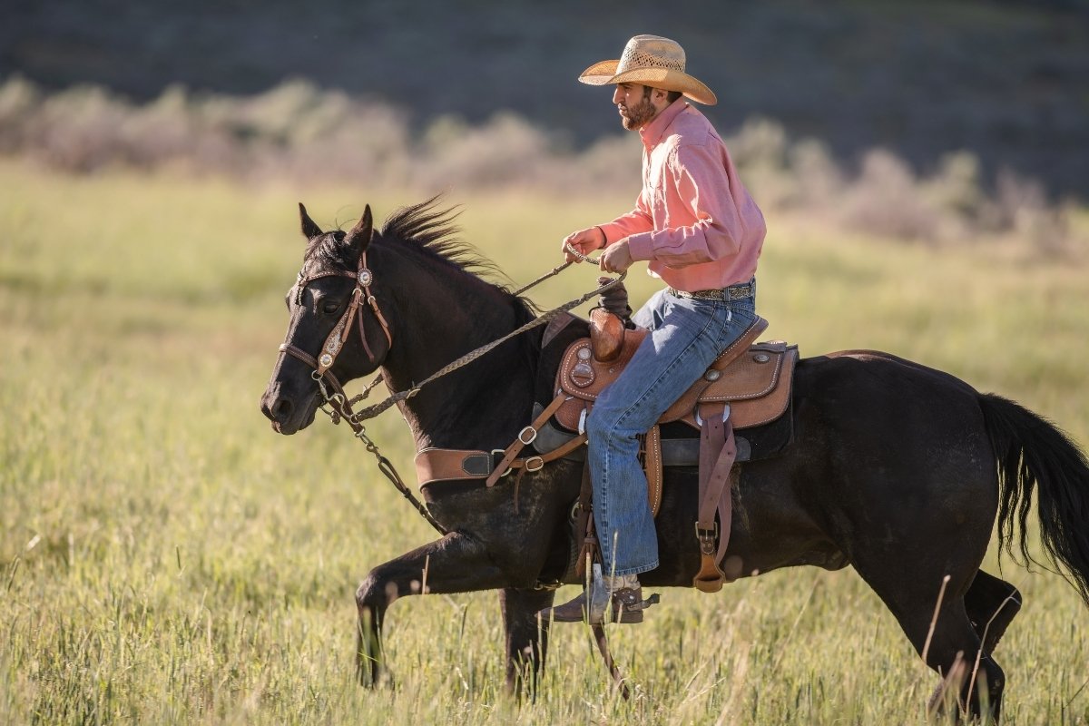 best jeans for riding horses