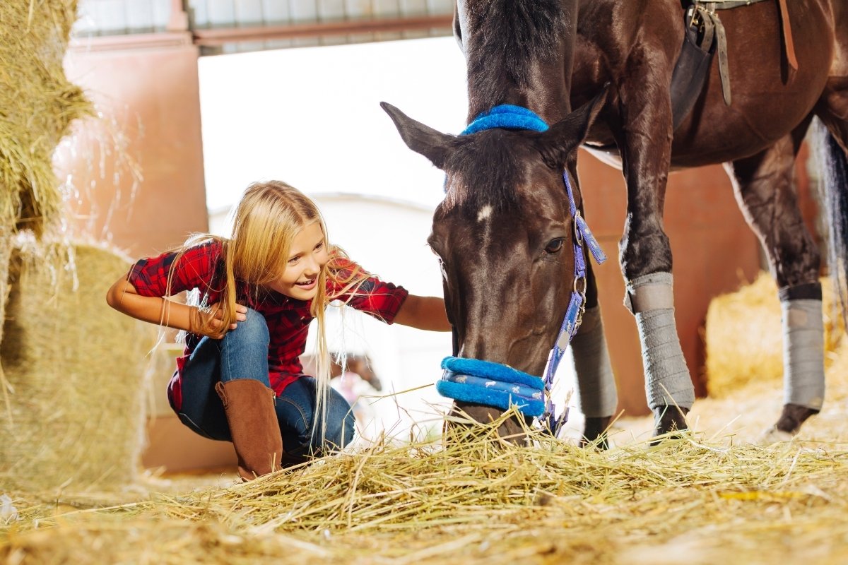 Questions to Ask When Leasing a Horse