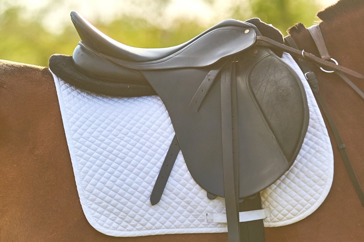Best Saddle Pad For Barrel Racing - The Top 6 Revealed!