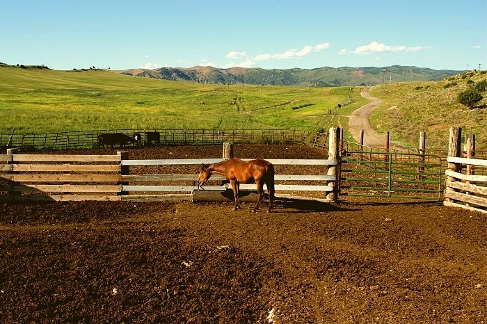 Where Was Heartland Filmed? | Where Is The Heartland Ranch