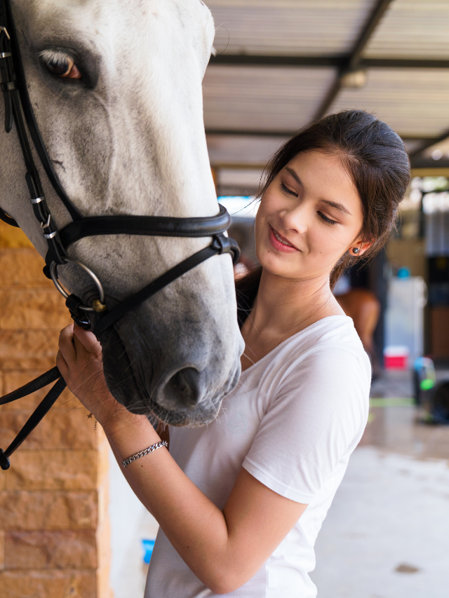 Do Horses Bond With Humans Probably Best Horse Rider