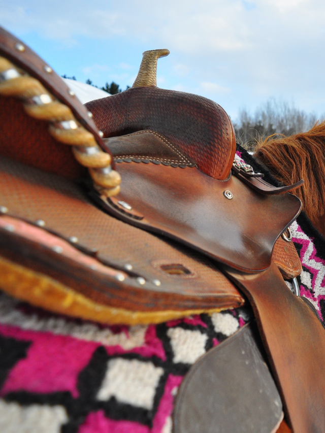 Western Saddle Brands To Avoid Best Horse Rider