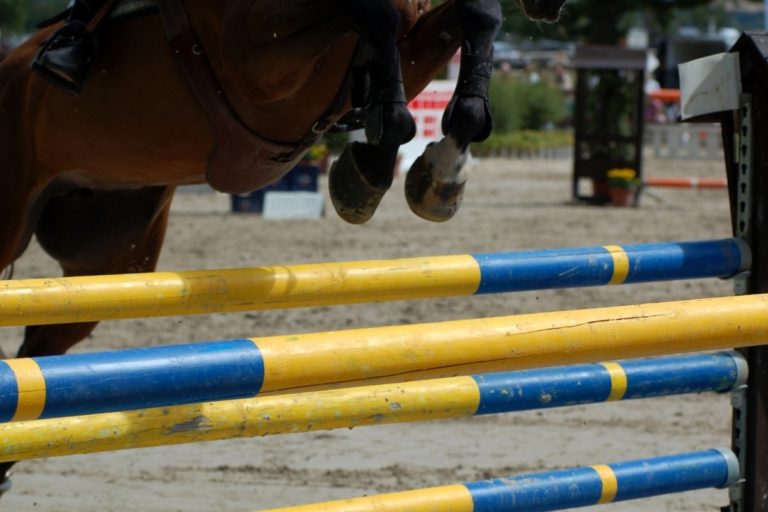 Easy To Make DIY Horse Jumps Best Horse Rider