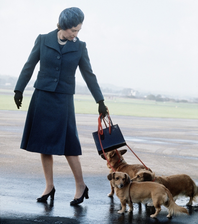 The Queen and Her Royal Love for Animals | Getty Images Photo by Anwar Hussein