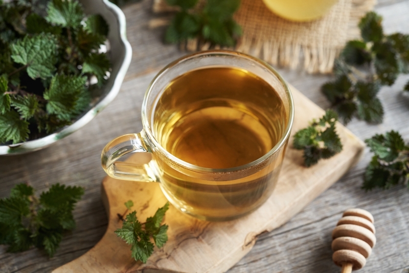 Stinging Nettle Makes a Great Dietary Supplement | Madeleine Steinbach/Shutterstock