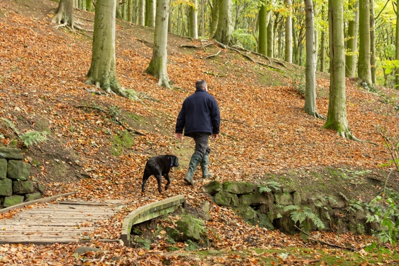 Hiking | Alamy Stock Photo