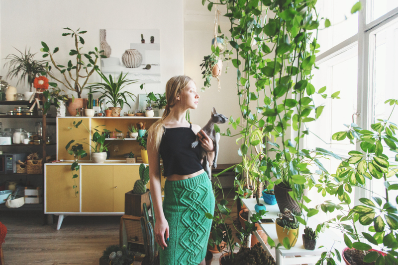 Having House Plants Will Change Your Life – Here’s How | Shutterstock