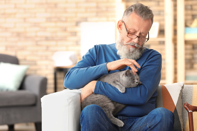 Pets Can Improve Older People’s Mental & Physical Health | Shutterstock