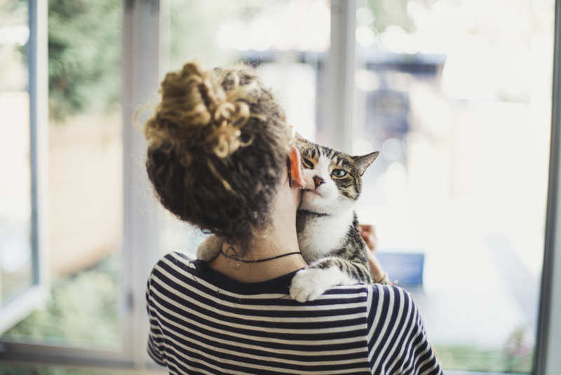 Helping Your Cat Handle Holidays | Getty Images