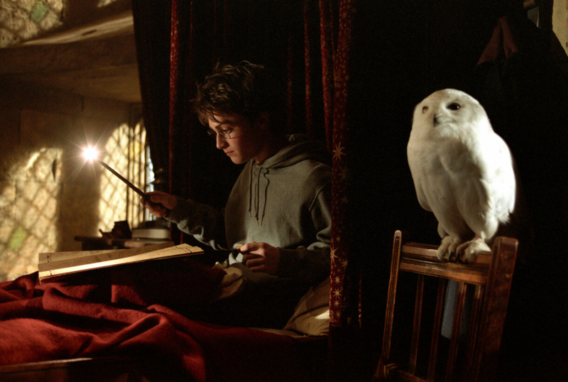 Hedwig — Harry Potter | Alamy Stock Photo