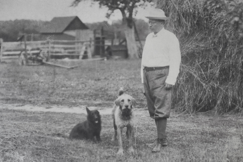 Old Photographs Of US Presidents and Their Pets | Alamy Stock Photo by Niday Picture Library