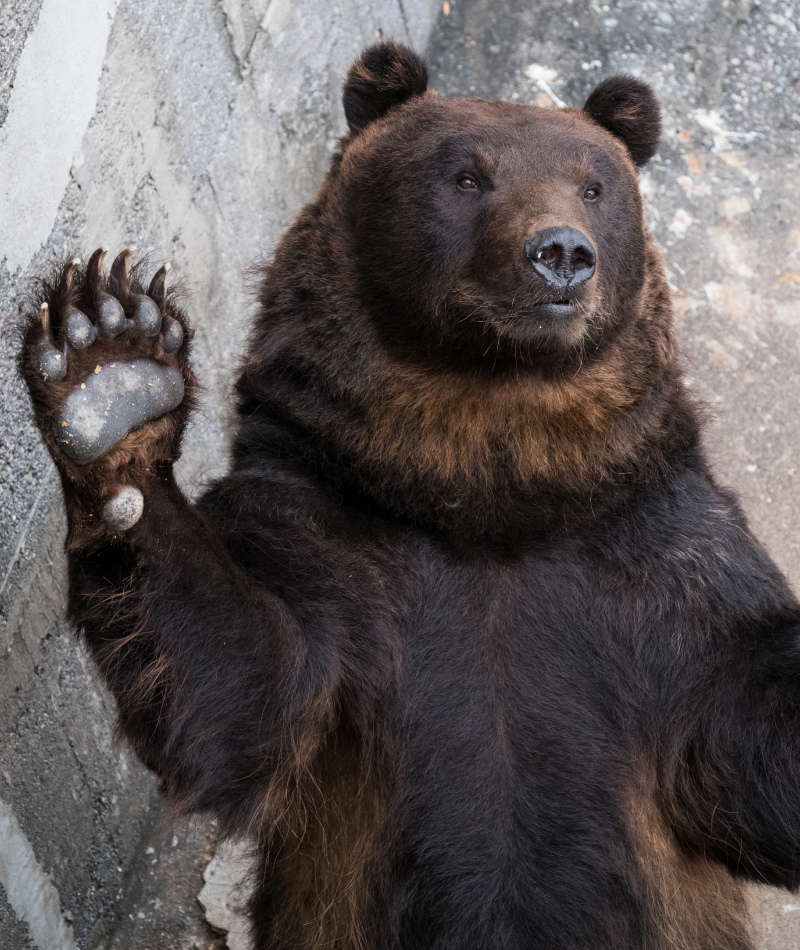 Up Close and Personal | puttography/Shutterstock 