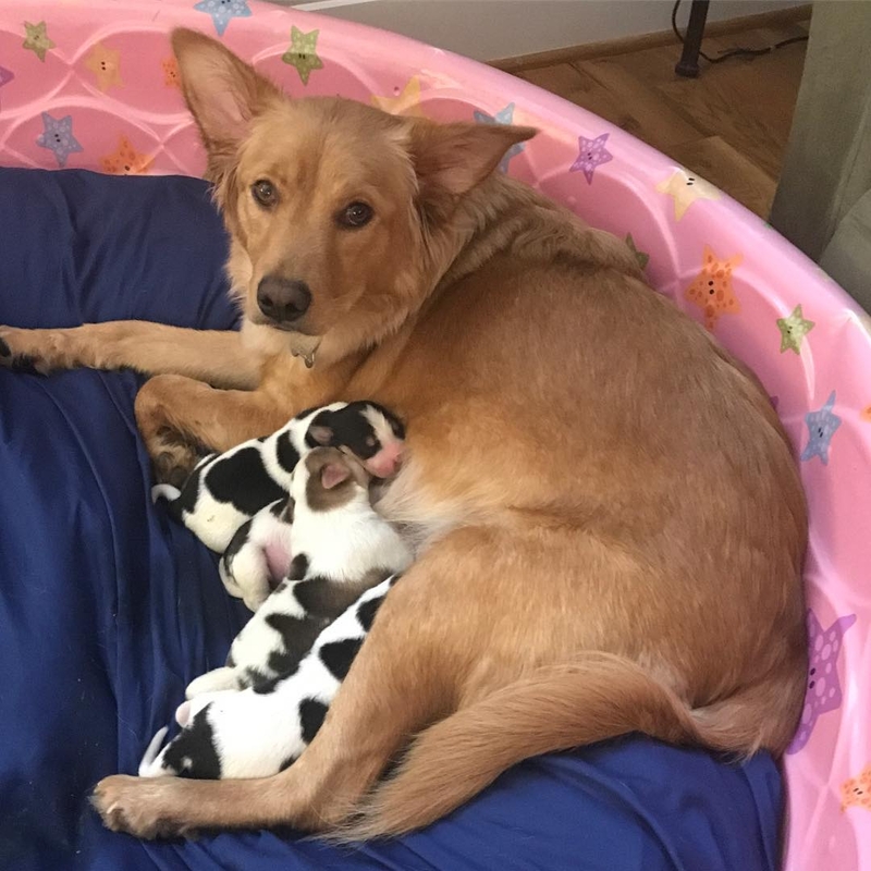 A Natural Mom | Instagram/@ourgoldenyears