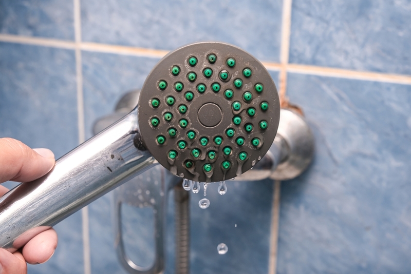 Unclog Shower Heads | Shutterstock Photo by ReaLiia