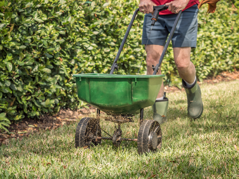 Nourish Your Lawn | Shutterstock