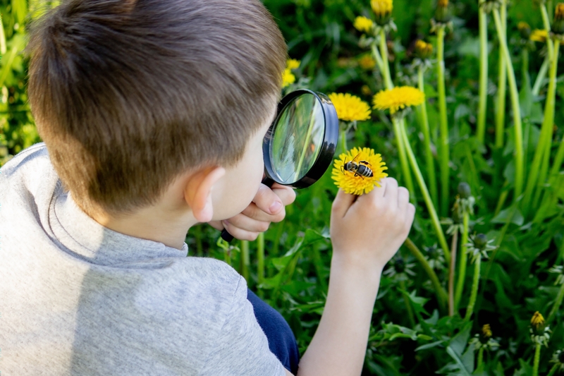 Outdoor Learning Education Model | Shutterstock