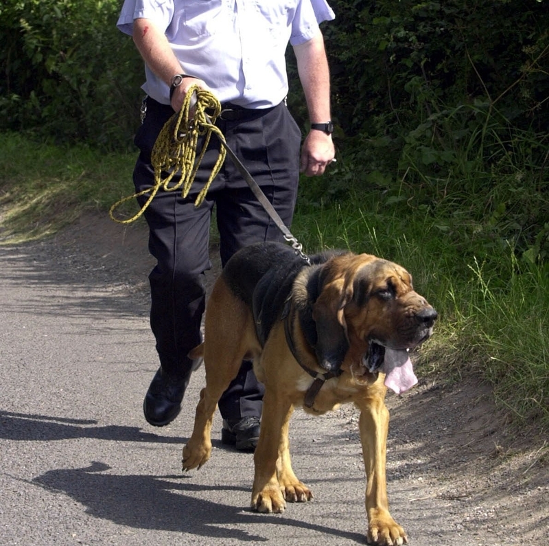 Tell the Sheriff | Photo by Tim Ockenden - PA Images/PA Images via Getty Images