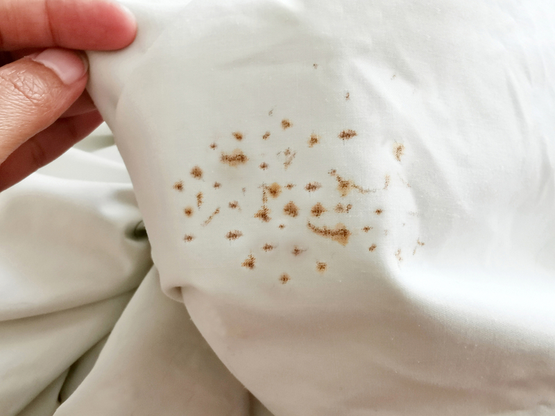 Get Rid of Rust Stains on Cloth | Shutterstock