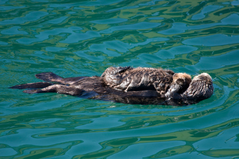 Floating With Father | Alamy Stock Photo by Laurie J. Bliss