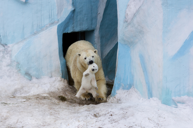 Play Time Is Over | Belovodchenko Anton/Shutterstock