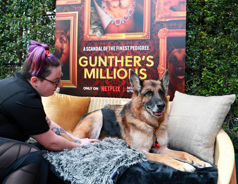 Carlotta Liebenstein | Getty Images Photo by Natasha Campos / Netflix