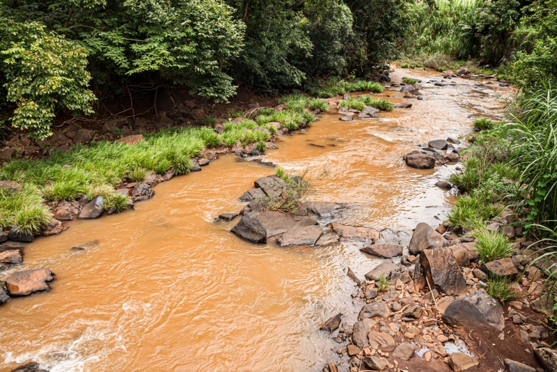 Brown or Muddy Water | Alamy Stock Photo by Ricardo Ribas