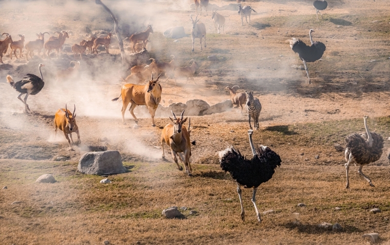 But if They Start Running Towards You, It Could Mean a Fire | Alamy Stock Photo by Wirestock, Inc.