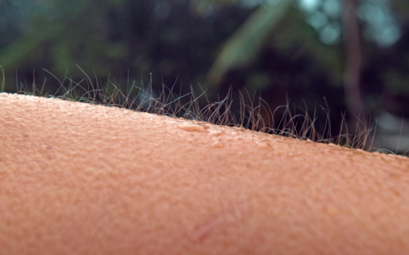 If Your Hair Gets Spiky, Take Action | Shutterstock