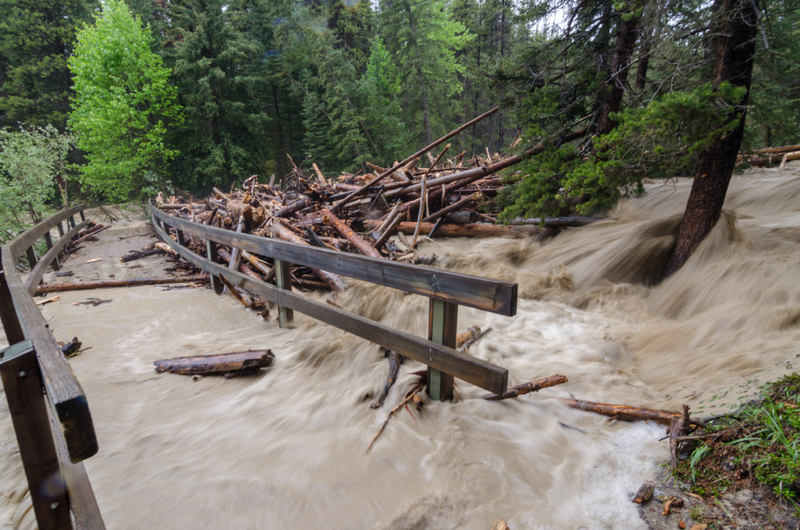 If You Hear Rushing Water, Run to High Ground | Shutterstock