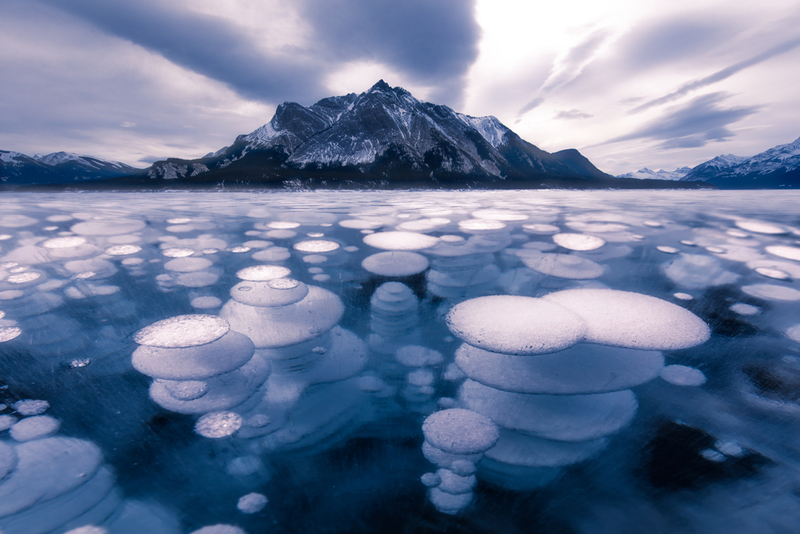 And Then There Was a Lake | Shutterstock