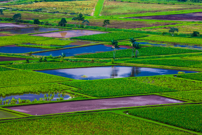 Hawaii’s Soil Is Worth More Than You Think | Alamy Stock Photo