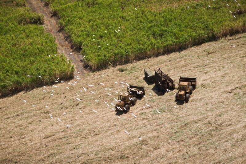 Importing Labor | Getty Images Photo by Reinhard Dirscherl/ullstein bild 