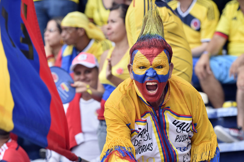 There's a Rhino in the Stands | Getty Images Photo by Gal Schweizer/LatinContent